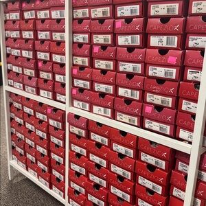 Capezio EXPIRED Pointe Shoes - great for decor or an arts and craft project.